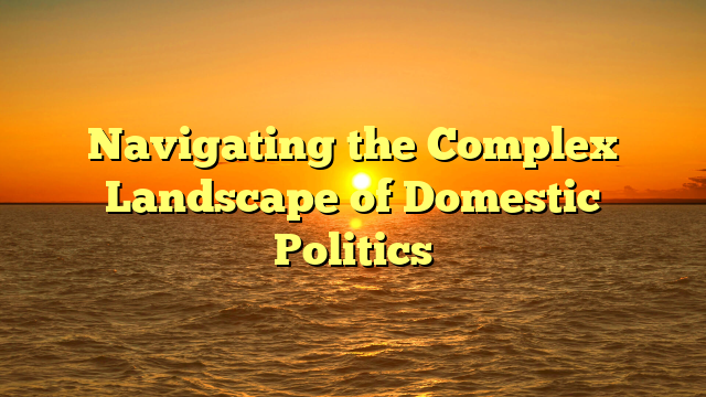Navigating the Complex Landscape of Domestic Politics