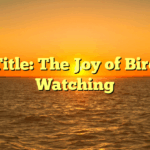 Title: The Joy of Bird Watching
