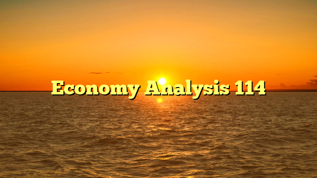 Economy Analysis 114